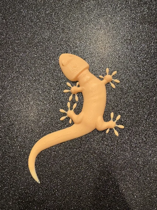 Gekon 3D